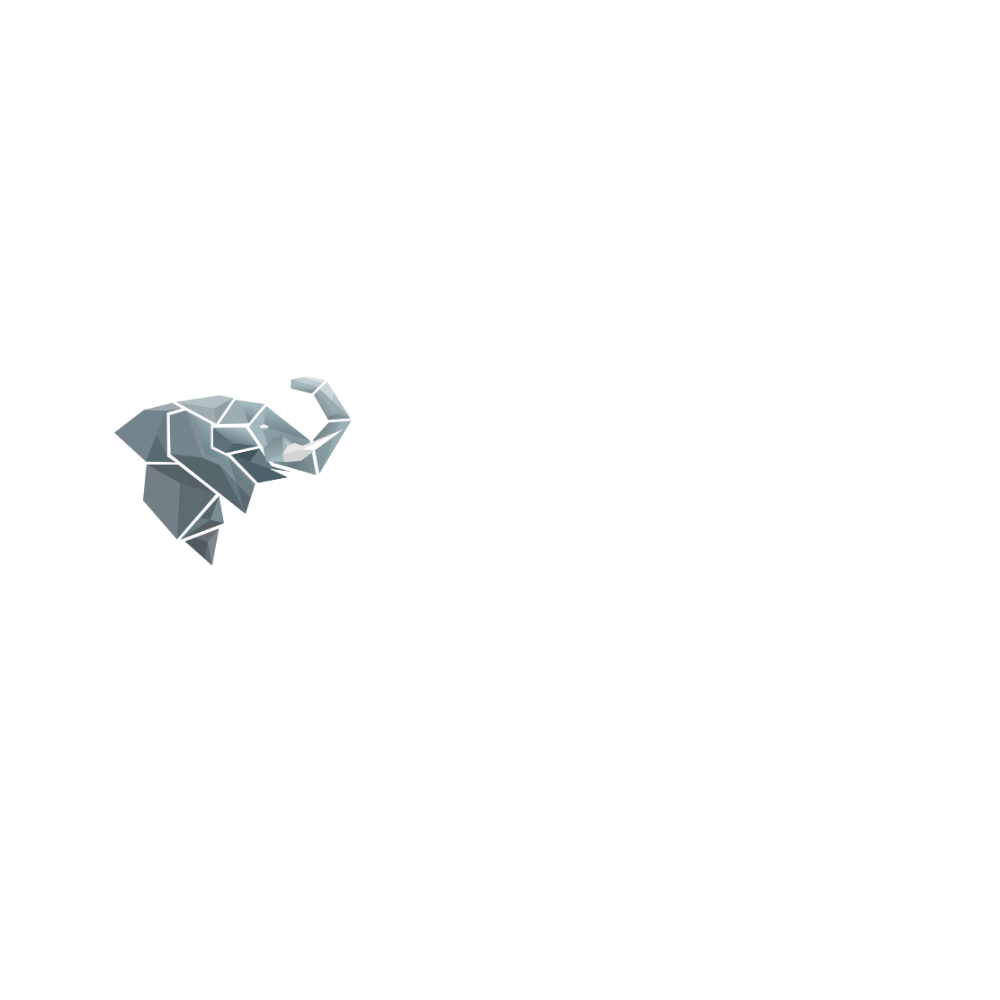 THE-Elephant